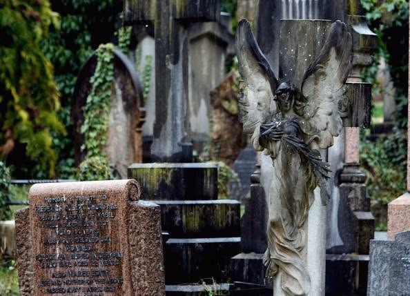 Weathered cemetery scene with a stone angel statue amid moss-covered gravestones.